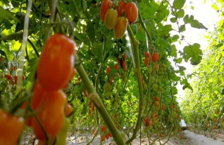 甘肃省定西市：寒旱塬上冬耕忙 稳粮增收促振兴