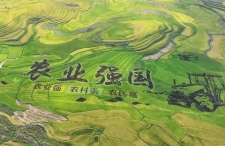 【践行新发展理念 中国经济行稳致远】乡村全面振兴扎实推进 农业农村现代化迈出坚实步伐