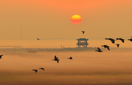 江西九江：晨雾轻拢鄱阳湖 再现“秋水共长天一色”诗意