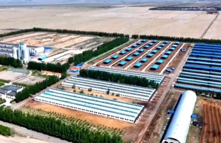 新疆加快提升农业产业竞争力