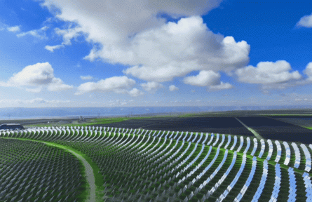 牧光互补!戈壁变“金滩”的双赢密码