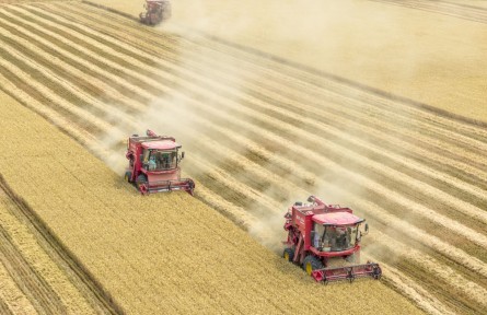筑牢发展安全根基 守住风险防控底线——解码中国经济稳健前行的底气