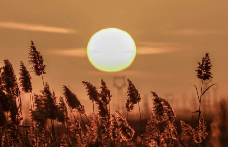 甘肃敦煌：大漠孤烟直，党河落日圆