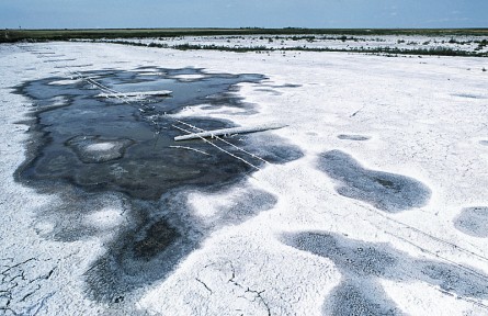 科技名词|土壤次生盐渍化 soil secondary salinization