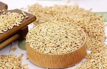 家鄉(xiāng)特優(yōu)農(nóng)產(chǎn)品大學(xué)生推薦官 | 品牌手記?：寧武，高山雜糧莜麥變營養(yǎng)黃金