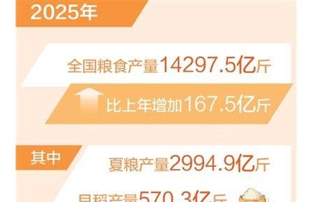 全年粮食生产再次实现高位增产