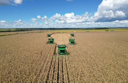 我国最大垦区北大荒集团粮食总产463.14亿斤 实现“二十二连丰”