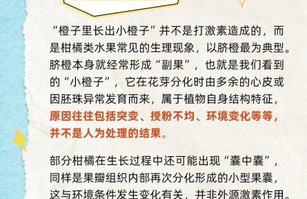 橙子里的“小橙子”有激素不能吃吗？