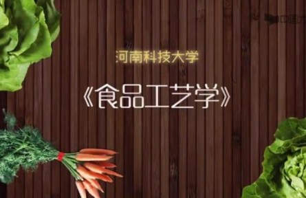《食品工艺学》课程系列讲座视频