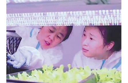 植物工厂里的“黑科技”