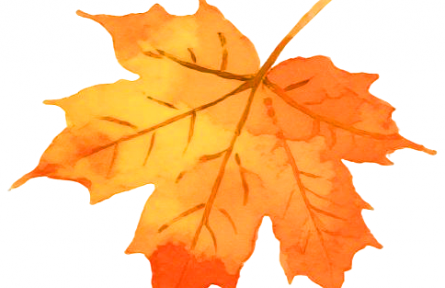 家乡特优农品大学生推荐官 | 品牌短视频 ②：从广灵山野到舌尖：白先生沙棘糕的天然诞生记