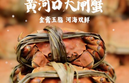 谁说冬天是淡季？看“鲁大壮”的冬日丰收图鉴！