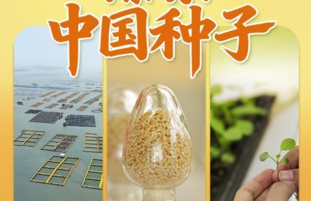 习近平总书记关切事|攥紧中国种子