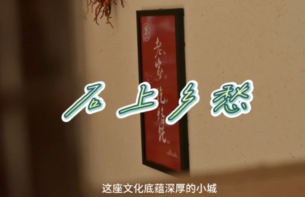 家乡特优农品大学生推荐官 | 品牌短视频 ③：石上乡愁