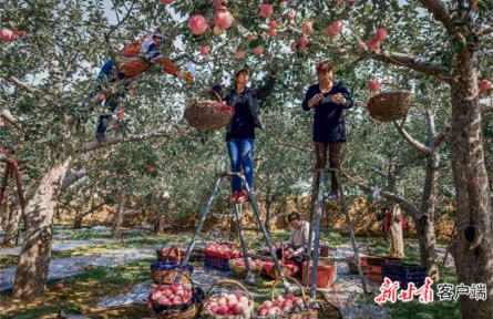 甘肃：全国名特优新名录再添18个“甘”字号农产品