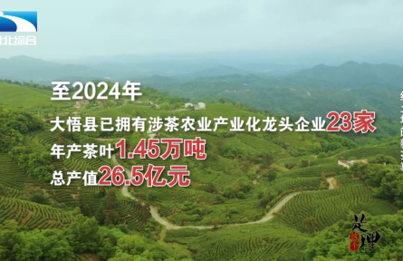 《是这个理》：红土地的新茶事