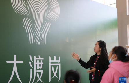 農(nóng)村集體經(jīng)濟經(jīng)理人魏春：以青春力量 勾勒熱土新景