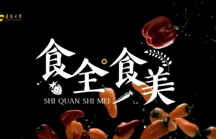 《食全食美》营养学讲座视频
