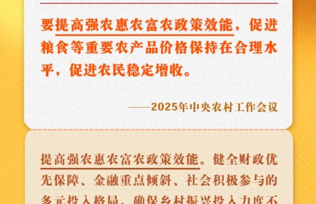 中央农村工作会议关键提法之二:提高强农惠农富农政策效能
