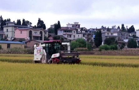 筑牢根基 守好糧倉(cāng) 云南糧食和物資儲(chǔ)備保障能力顯著增強(qiáng)