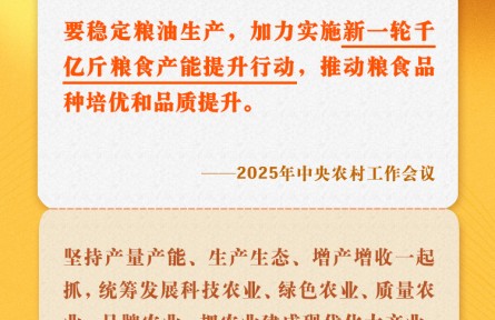 中央农村工作会议关键提法之四：新一轮千亿斤粮食产能提升行动