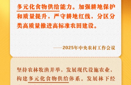 中央农村工作会议关键提法之五：多元化食物供给