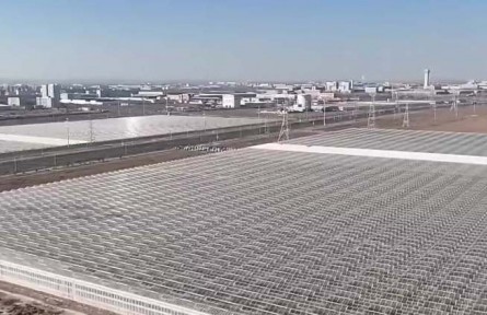 甘肃兰州:智能培育+冷链保鲜 鲜切玫瑰畅销海内外