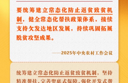 中央农村工作会议关键提法之六：常态化防止返贫致贫机制