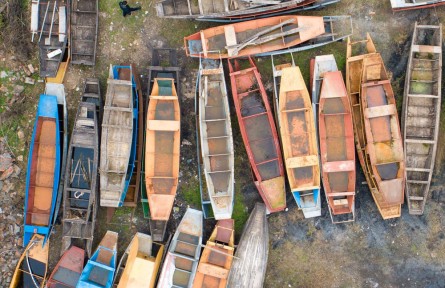 长江禁渔五年，发生了哪些变化？