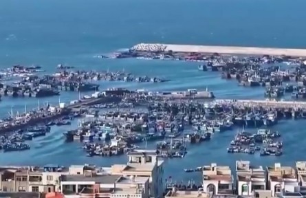 【“十五五”开好局起好步】奋发进取 绘就乡村振兴新图景