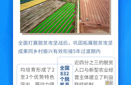 理响中国·聚焦2026“三农”工作|从三个关键点看“培育壮大县域富民产业”