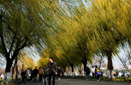 零废物城市 zero-waste cities