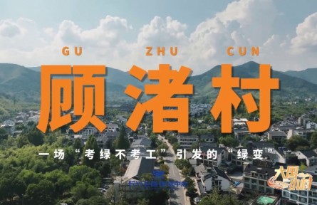 大国小村|一场“考绿不考工”引发的“绿变”