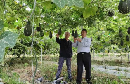 集体收入从不足3万到70余万，这个“红色村”靠什么逆袭?