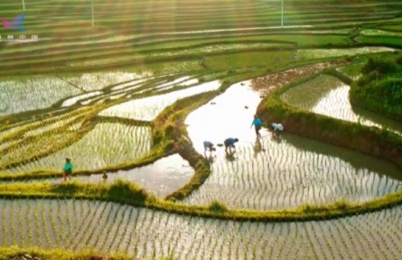 黑科技让土壤“满血复活”