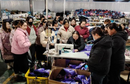 甘肃庆阳：学技增收 妇女有了成长“加油站”