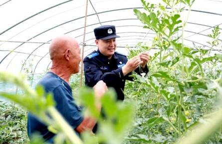 刘鹏博：“民情地图”中的贴心人