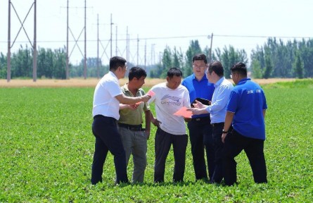 从“保险+期货”看金融助农的温度与力量