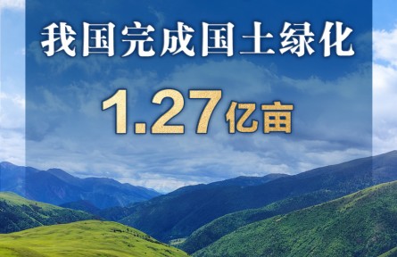 2025年我国完成国土绿化1.27亿亩