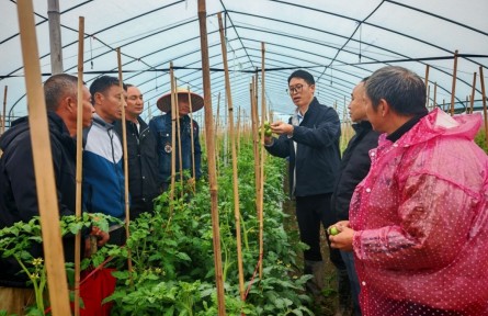 曾祥亮：扎根田野18年，他给庄稼当医生