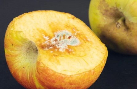 辟谣|长了霉斑的苹果，削掉一块再吃就安全了？