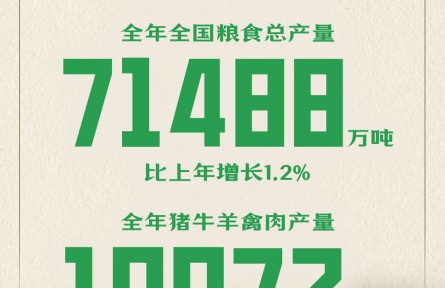 稳、丰、增、快、升、优！六个关键字看中国经济亮点