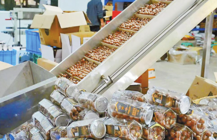 云南:西盟坚果亮出富硒新标签