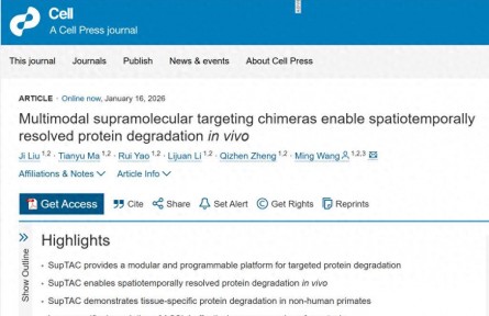 中国科学院团队破清除“致病蛋白”难题，有望延缓老年痴呆等疾病进展