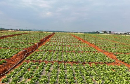 万元国内生产总值用水量 water consumption per 10,000 yuan of GDP