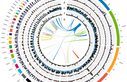黑龙江农垦科学院成功构建籽鹅全基因组图谱