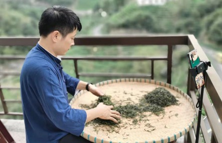 周正祥：让高山茶香飘更远
