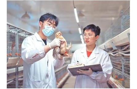 科技小院，扎根乡土茁壮生长