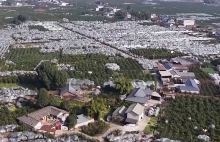 我国优质农产品供给能力稳步提升