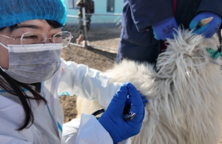 每日一星|谷英：羊圈里的科学家